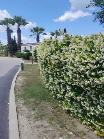 Camping pour 6 Personnes dans Torreilles, Région de Perpignan, Photo 3