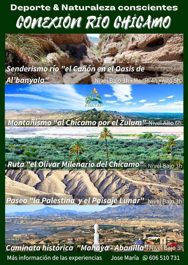 Location de vacances pour 4 personnes, avec jardin et jacuzzi à Fortuna - 3