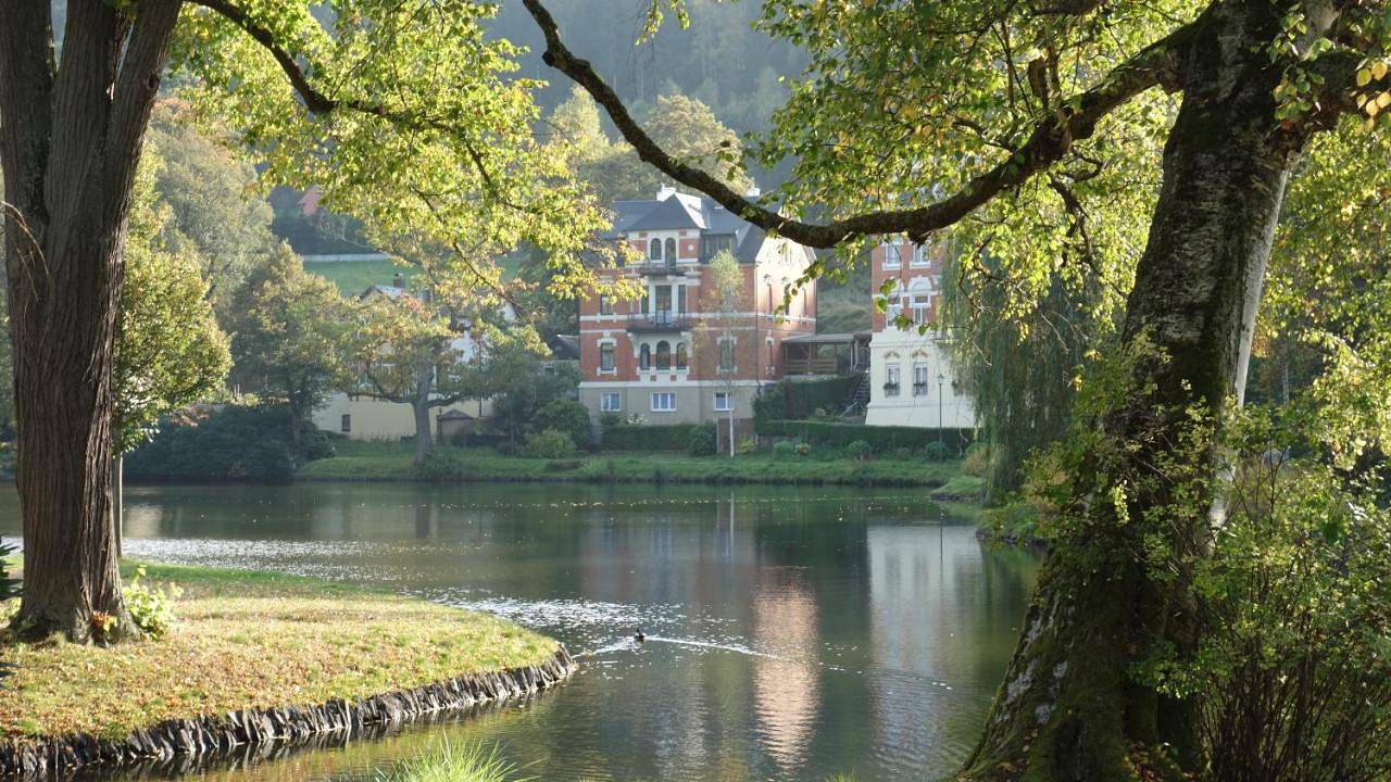 Ganze Wohnung, Apartment Am Gondelteich in Bad Elster, Chemnitz und Umgebung