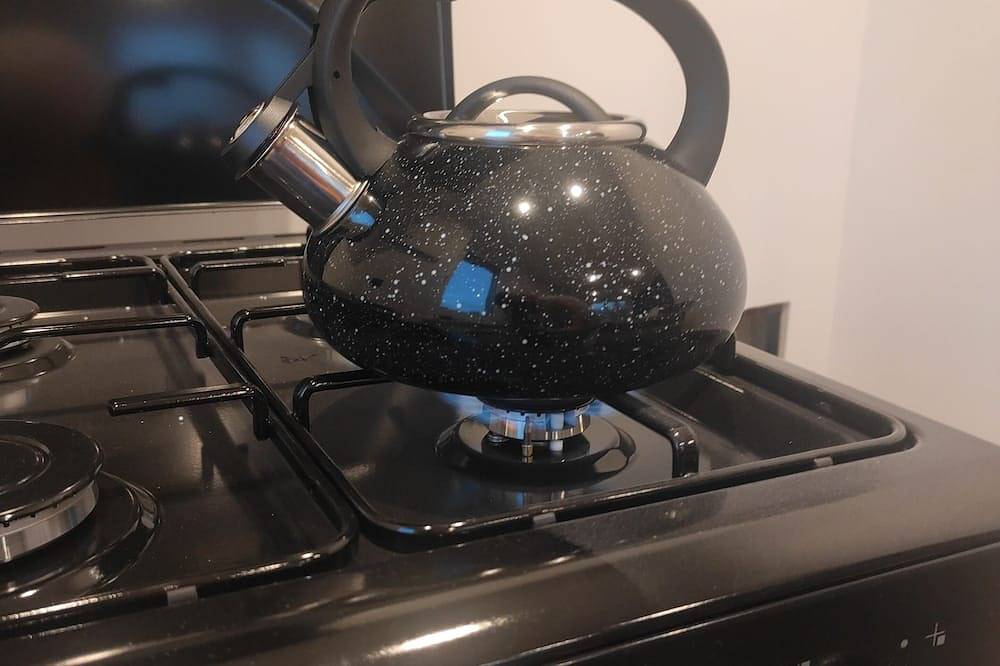 Ganze Wohnung, Apartament Blackandwhite in Sandomir, Heiligkreuz