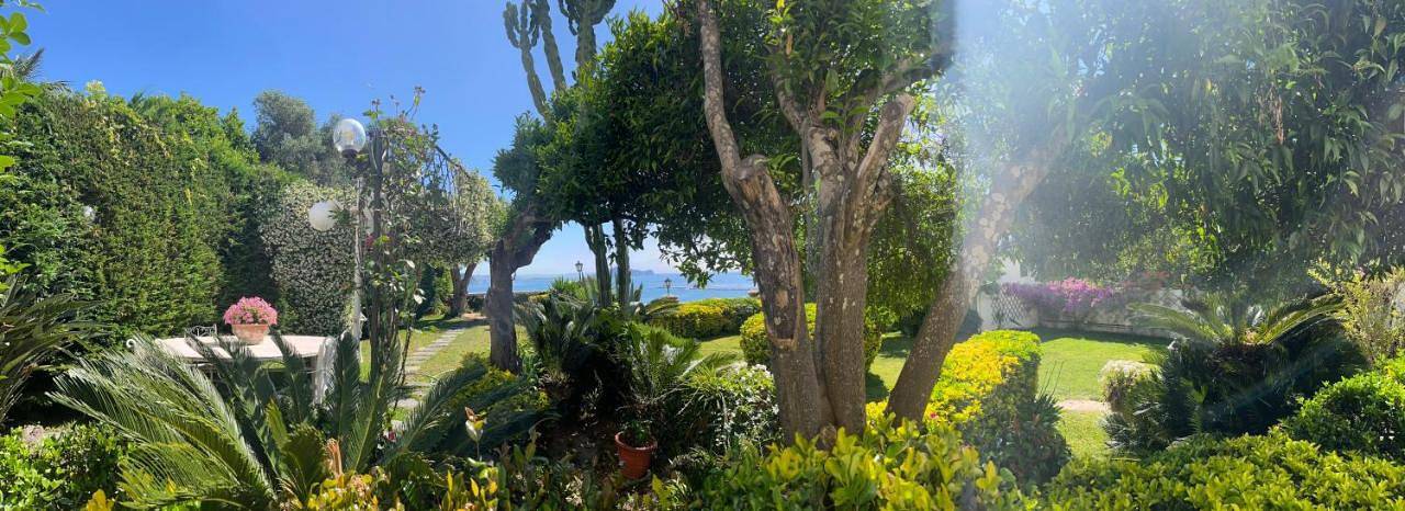 Chambre d’hôte pour 2 personnes, avec jardin et vue à Procida - 3