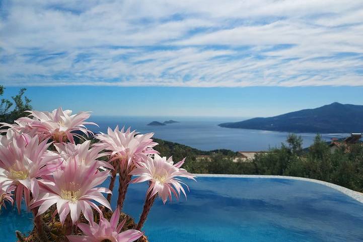 Casa de vacaciones para 4 personas, con jardín, Se admiten mascotas - 1