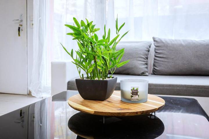 Location de vacances pour 8 personnes, avec terrasse à Gennevilliers - 2