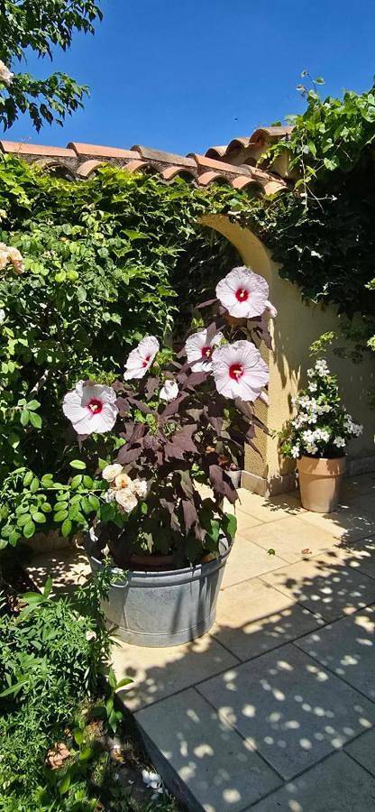 Le Jardin d'Helfy in Mazan, Parc naturel régional du Mont-Ventoux