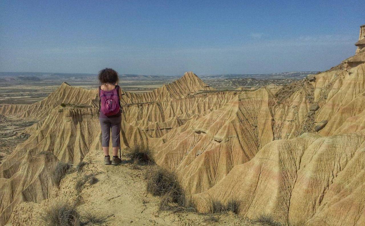 Agroturismo "La Bardena Blanca Ii" in Arguedas, Provincia de Navarra