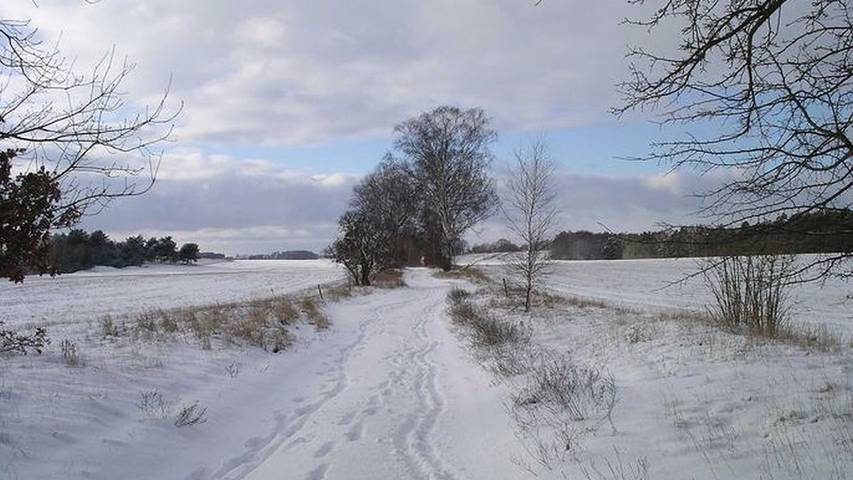 Ferienwohnung für 3 Personen, mit Garten - 1