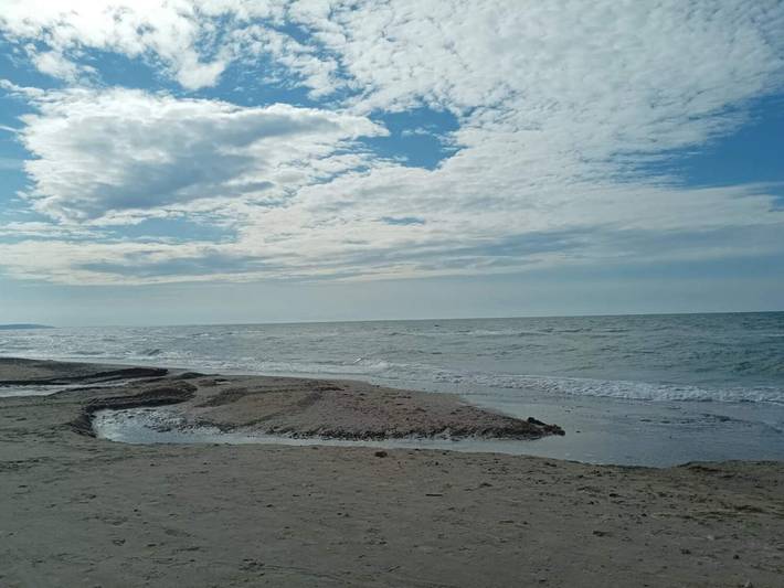 Ferienhaus für 6 Personen, mit Pool, kinderfreundlich in Tranum Strand - 3