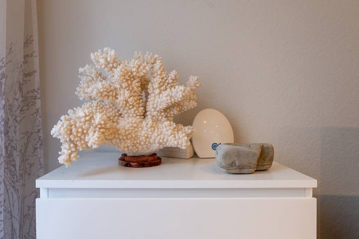 Entire apartment, Le Doumer Apartment, 800m from City Center, Wifi & Parking, Cleaning Not Included in Vannes, Côte des Mégalithes