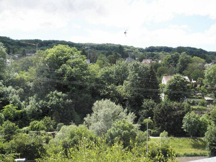 Gîte pour 6 personnes, avec balcon/terrasse à Lörrach - 3