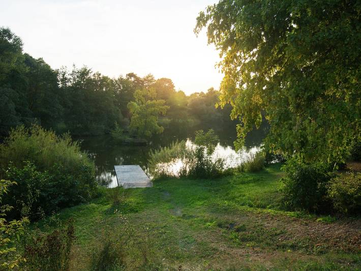 Ferienwohnung für 4 Personen, mit Terrasse und Garten in Frankenau - 3