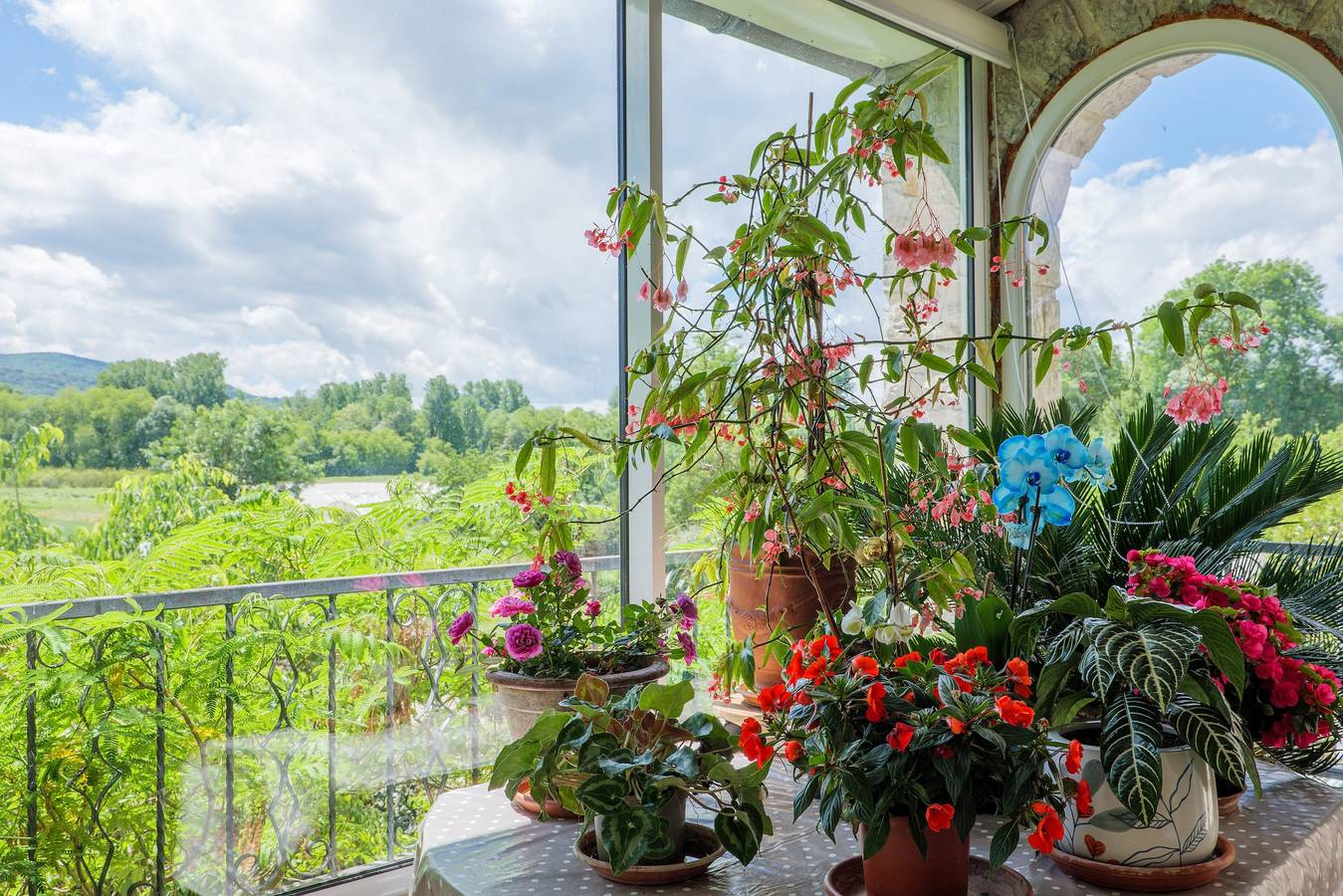 Gastenkamer 'Chambre Catherine' met gedeeld zwembad, wifi en airconditioning, foto 13