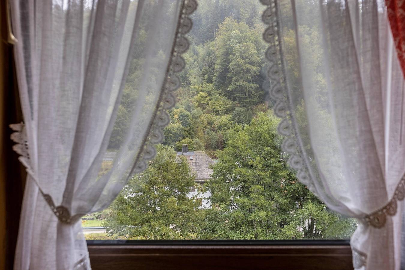 Ganzes Studio, Studio 'Am Wehrastrand App 2' mit Bergblick, Garten und Wlan in Suedlicher Schwarzwald, Todtmoos