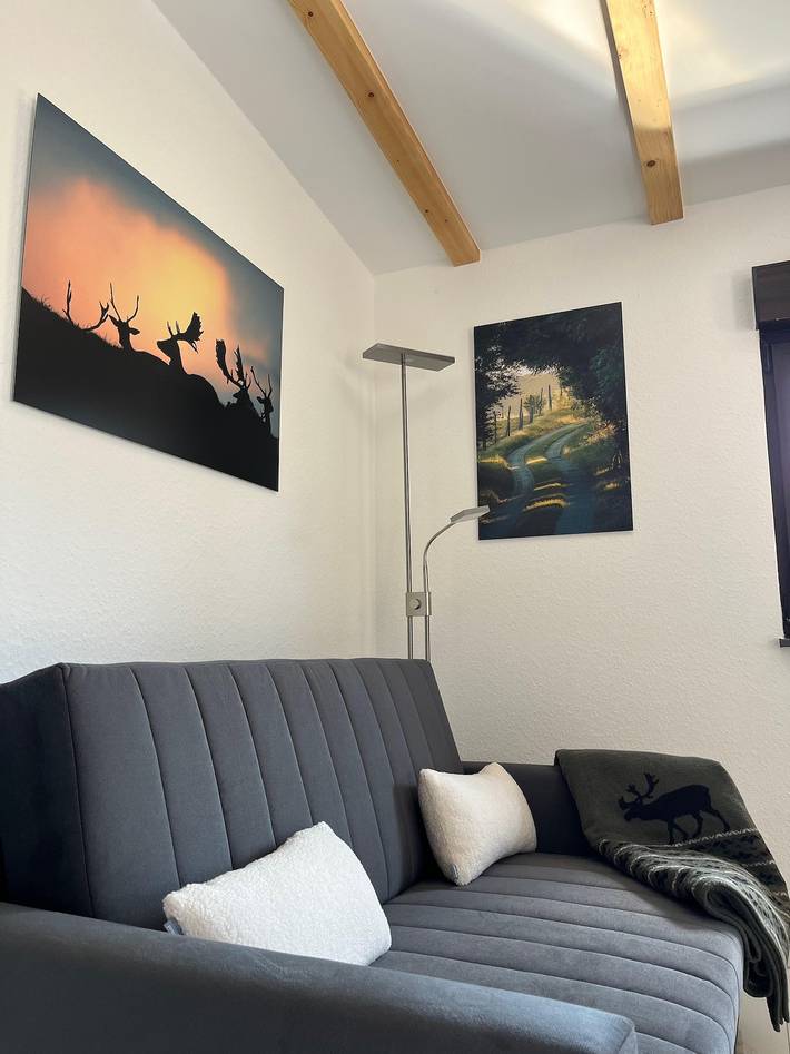 Apartamento vacacional entero, Apartment, bath, toilet in Wadern, Saar-Nahe-Bergland