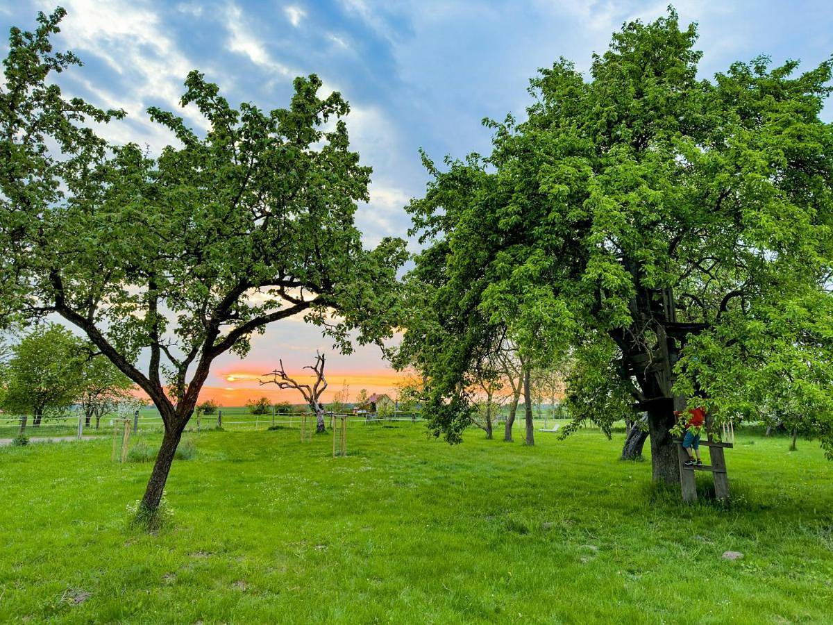 Spacious Apartment With Terrace And Garden View in Fünfseen, Mecklenburgische Seenplatte