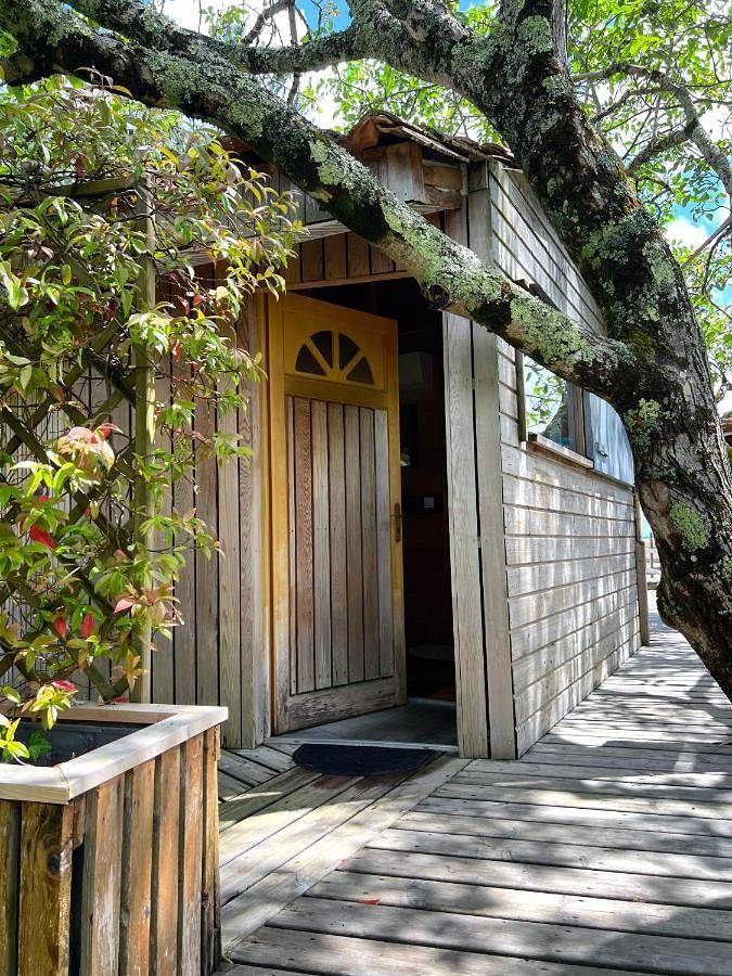 Gîte pour 2 personnes, avec terrasse et vue à Fronsac - 3