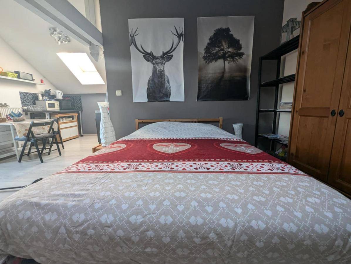 Appartement entier, One-Bedroom Apartment in Champdray, Saint-Dié-des-Vosges