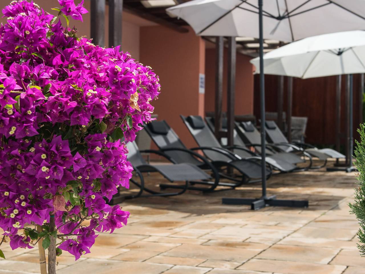 Magdalena in Biograd na Moru, Region de Zadar