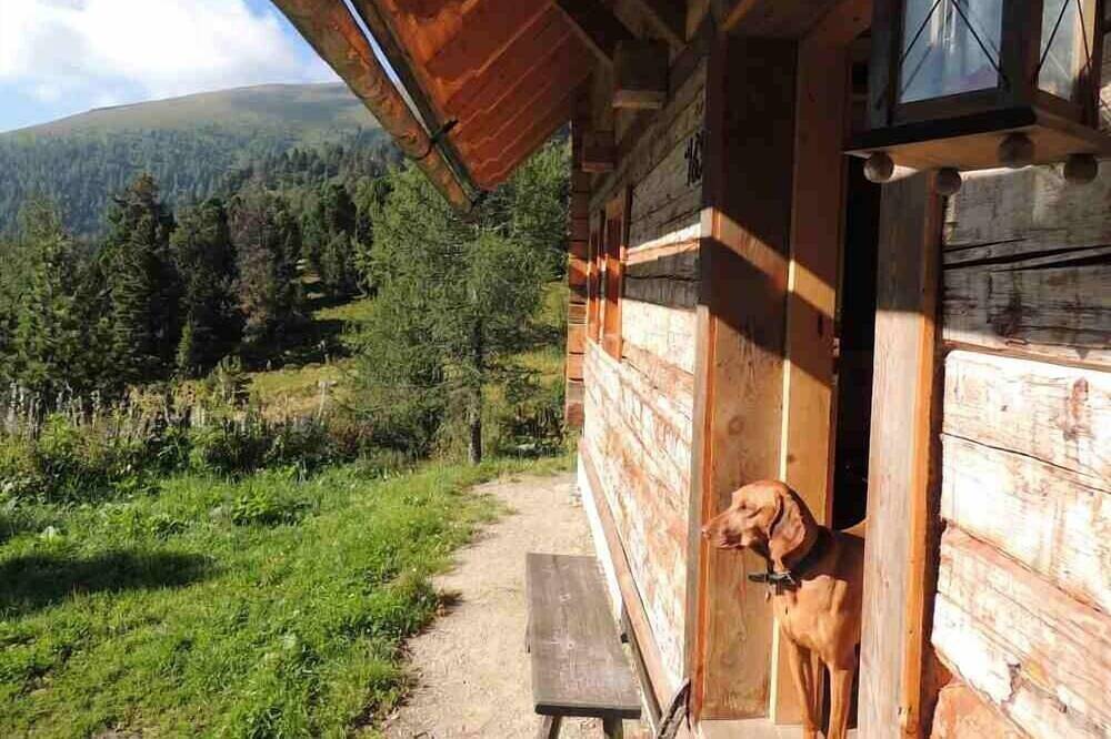 Romantische  Almhuette zum Wohlfühlen in Reichenau (Österreich), Nockberge