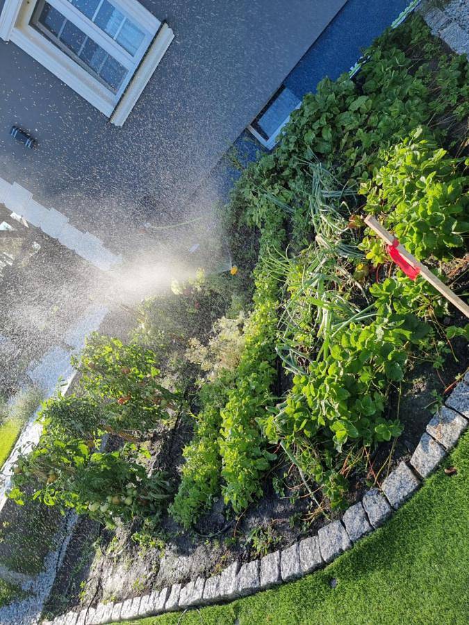 Ferienhaus für 8 Personen, mit Whirlpool und Garten sowie Pool, mit Haustier in Oderbruch - 3