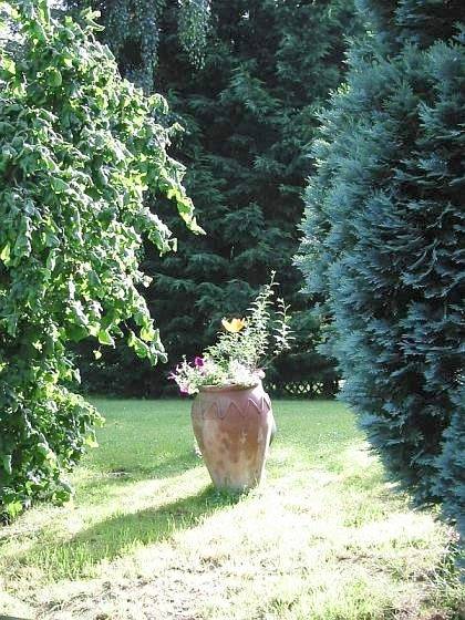 2-Bettwohnung (Appartement Typ A) in Schönecken, Eifelkreis Bitburg-Prüm