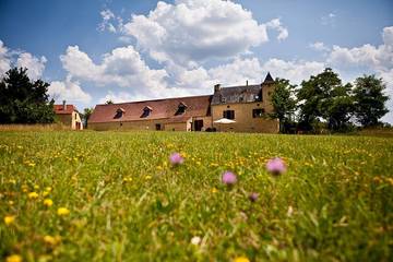 Location de vacances pour 14 personnes, avec jardin, animaux acceptés à Lamothe-Fénelon