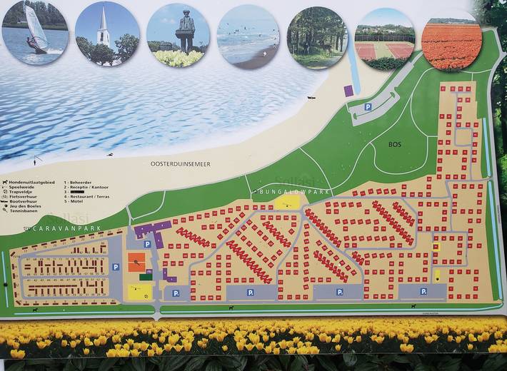 Bungalow für 6 Personen, mit Garten, kinderfreundlich in Noordwijkerhout - 2