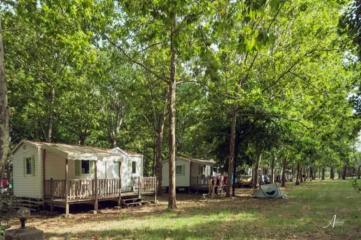 Mobil home pour 5 personnes à Ghisonaccia - 3