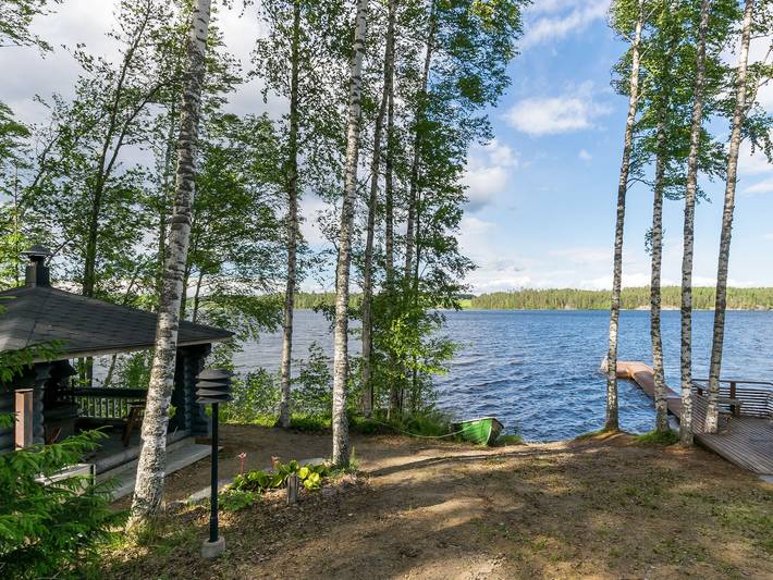 Villa kotikoivu in Ristiina, Mikkeli