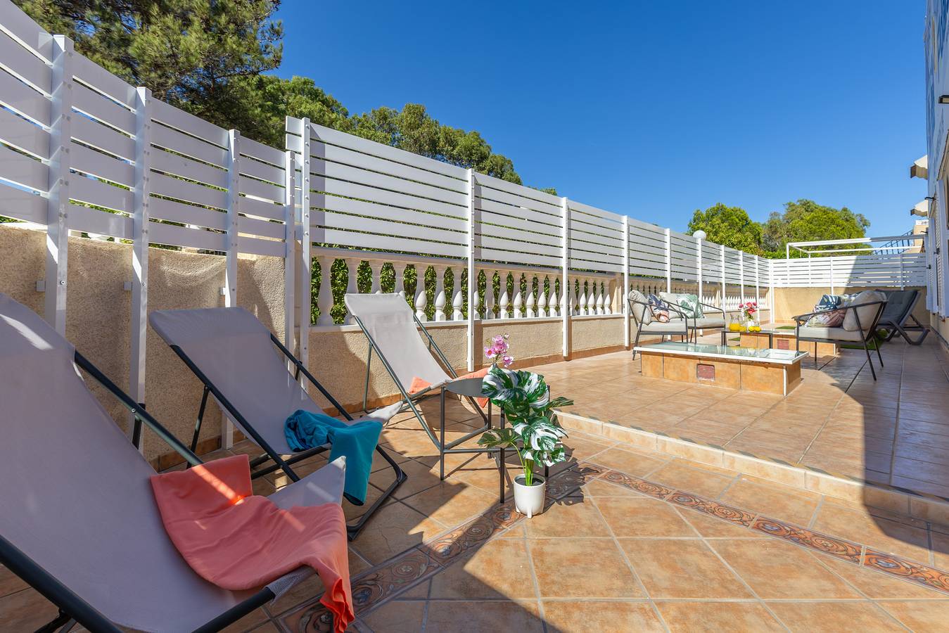 Coral Seashell Ground Floor by Fidalsa in Guardamar del Segura, Costa Blanca