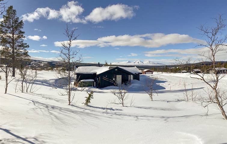 Feriehus for 8 personer med utsikt in Engerdal 