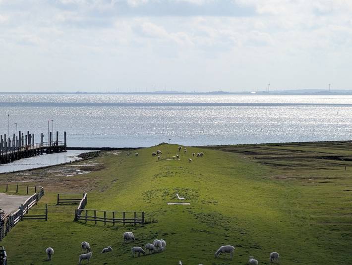 Ferienwohnung für 4 Personen, mit Seeblick und Balkon auf den Nordseeinseln