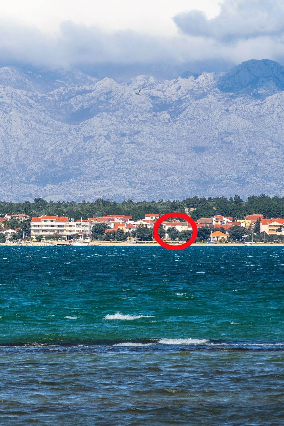 Ganze Wohnung, 1-Zimmer-Ferienwohnung am Strand Vrsi - Mulo (Zadar) A-5951-a in Mulo, Vrsi