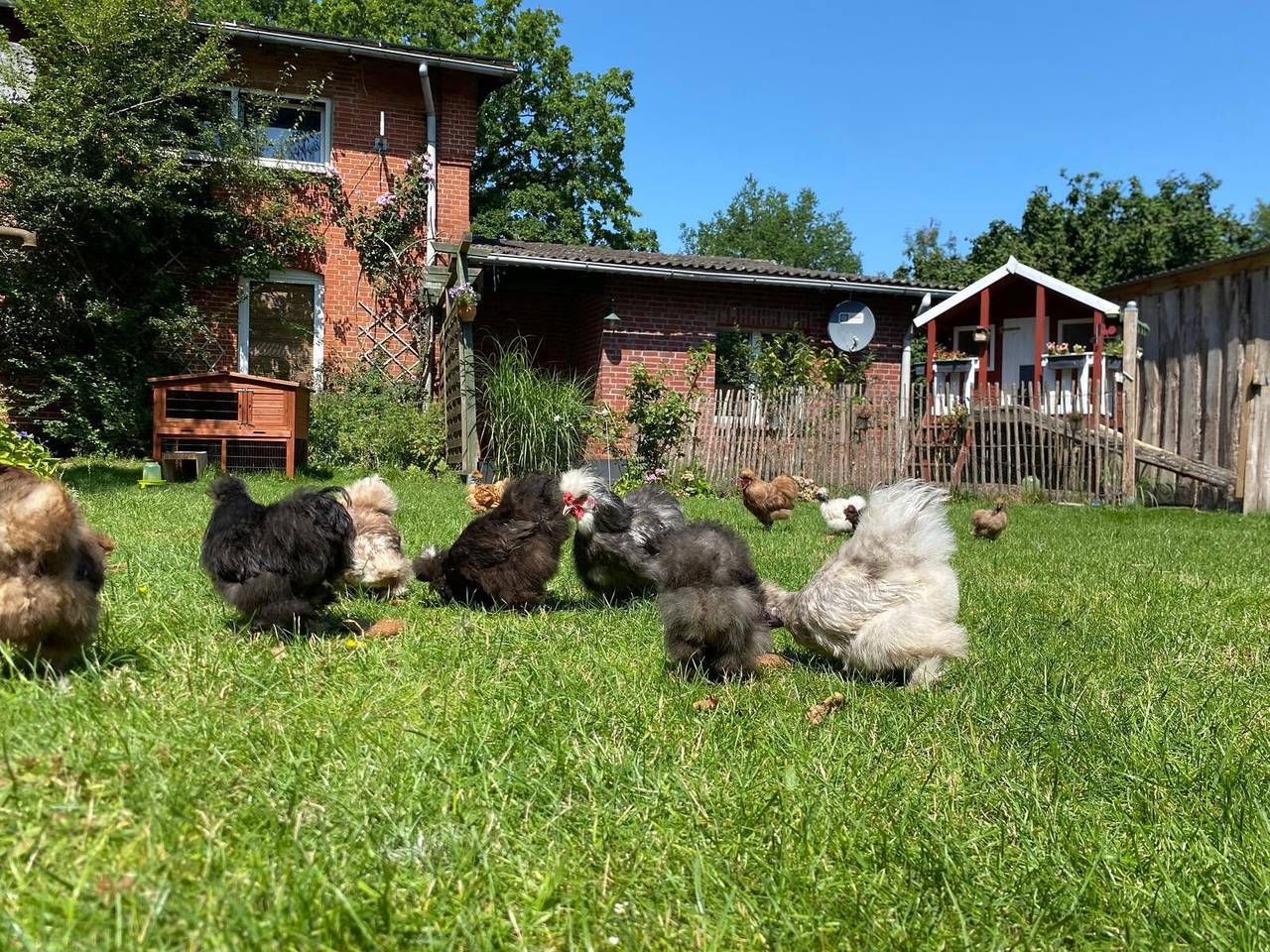 Ganze Wohnung, Apartment „Tiny Rooster Lodge“ mit Wlan in Alt Duvenstedt, Rendsburg-Eckernförde