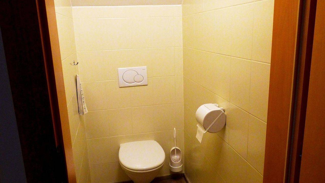 Ganze Ferienwohnung, Ferienwohnung für 3 Personen (40 m²) in Mörbisch am See in Mörbisch am See, Leithaberg