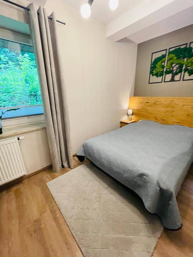 Cały apartament, One-Bedroom Apartment in Porąbka, Śląsk