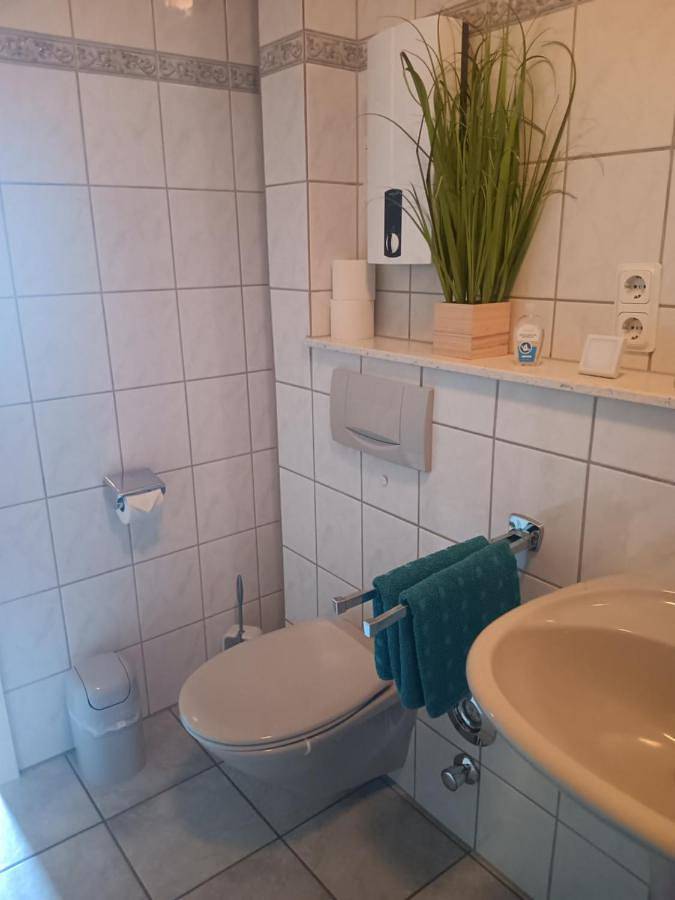 Geheel appartement, One-Bedroom Apartment in Trier (Stad), Trier
