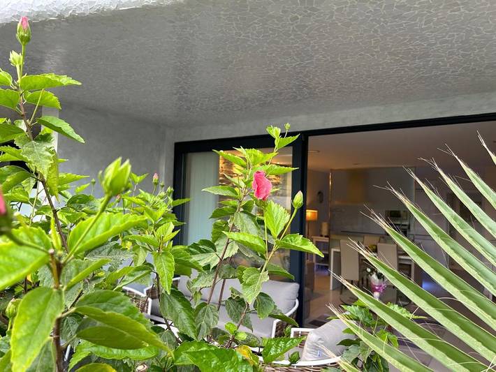 Ferienhaus für 4 Personen, mit Ausblick und Pool sowie Garten auf den Kanaren - 2