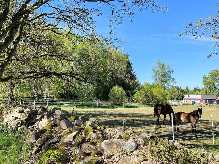 Ferienhaus für 4 Personen, mit Garten in Skane - 3