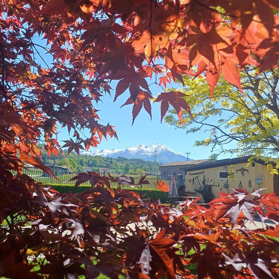 Acero Rosso in Pianfei, Province de Coni