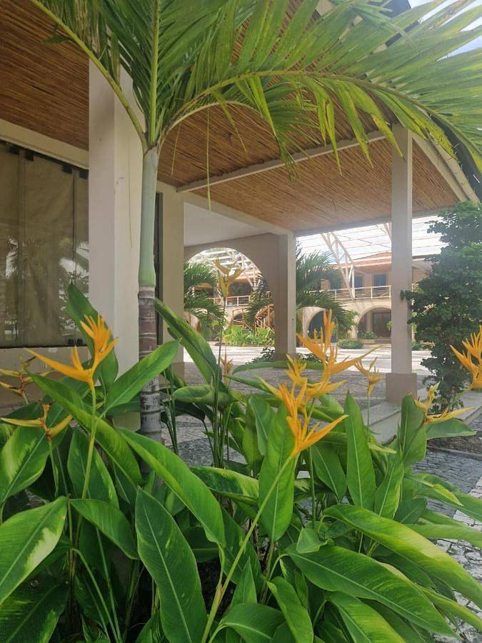 Hôtel pour 6 personnes, avec jardin et vue dans Ilha de Boipeba - 3