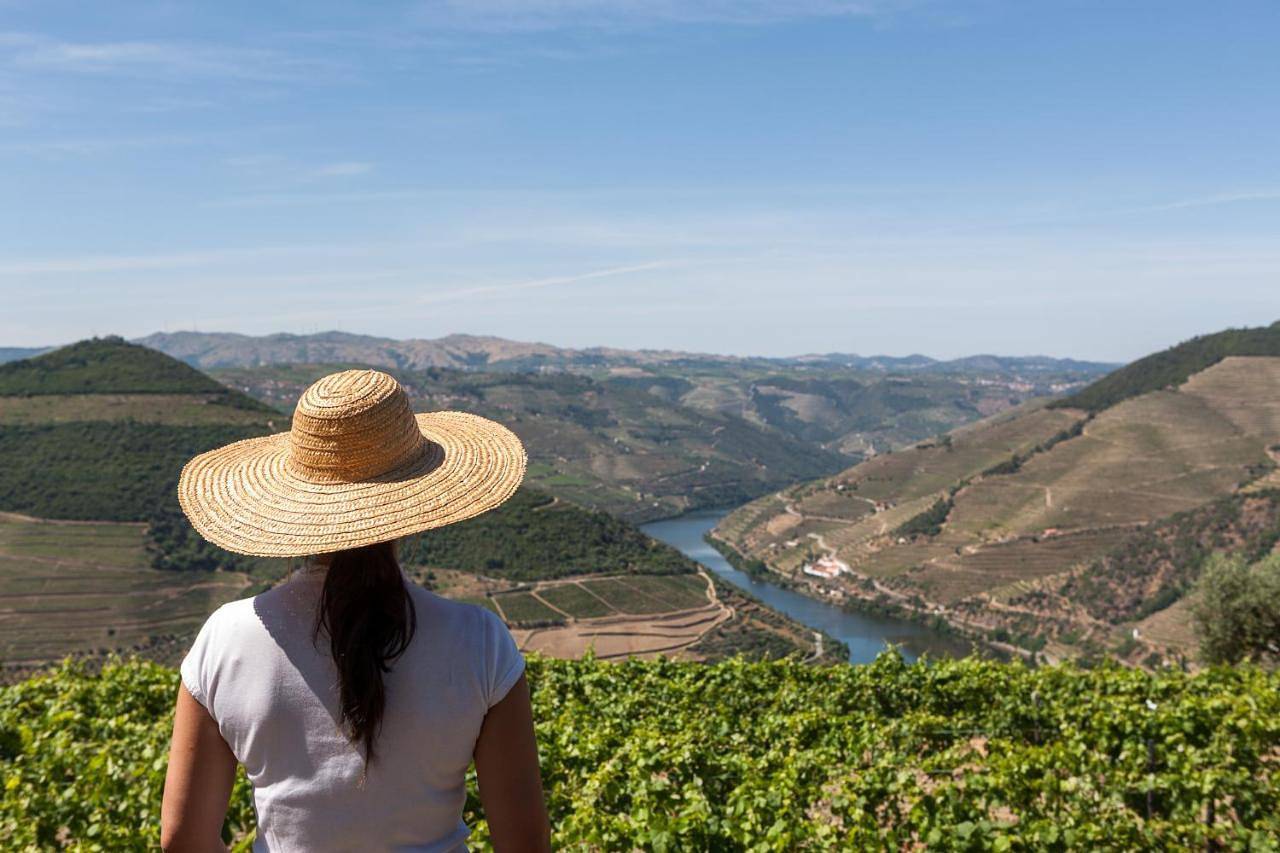 Casa De Casal De Loivos in Vale de Mendiz, Casal de Loivos e Vilarinho de Cotas, Vale do Douro