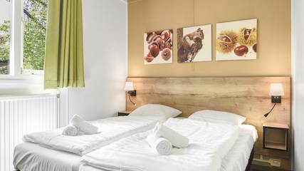 Bungalow voor 4 Personen in Putten, Veluwe, Afbeelding 4