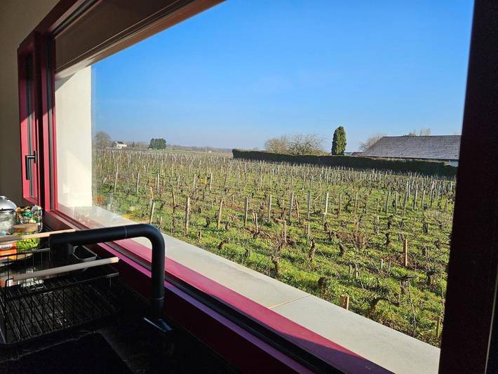 Location de vacances pour 4 personnes, avec vue et jardin à Morey-Saint-Denis - 3