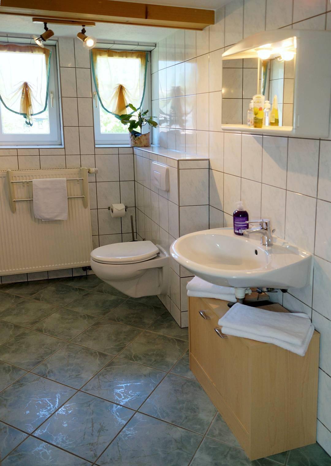 Ferienwohnung 1 in Altenberg, Mittlere Erzgebirge