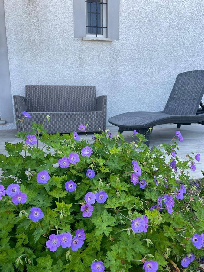 Location de vacances pour 6 personnes, avec piscine et jardin à Villemoustaussou - 3