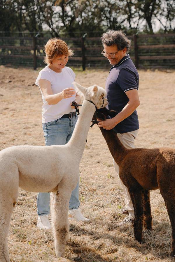 Hôtel pour 2 personnes, avec piscine et sauna ainsi que jacuzzi et jardin, animaux acceptés dans Sourbrodt - 2