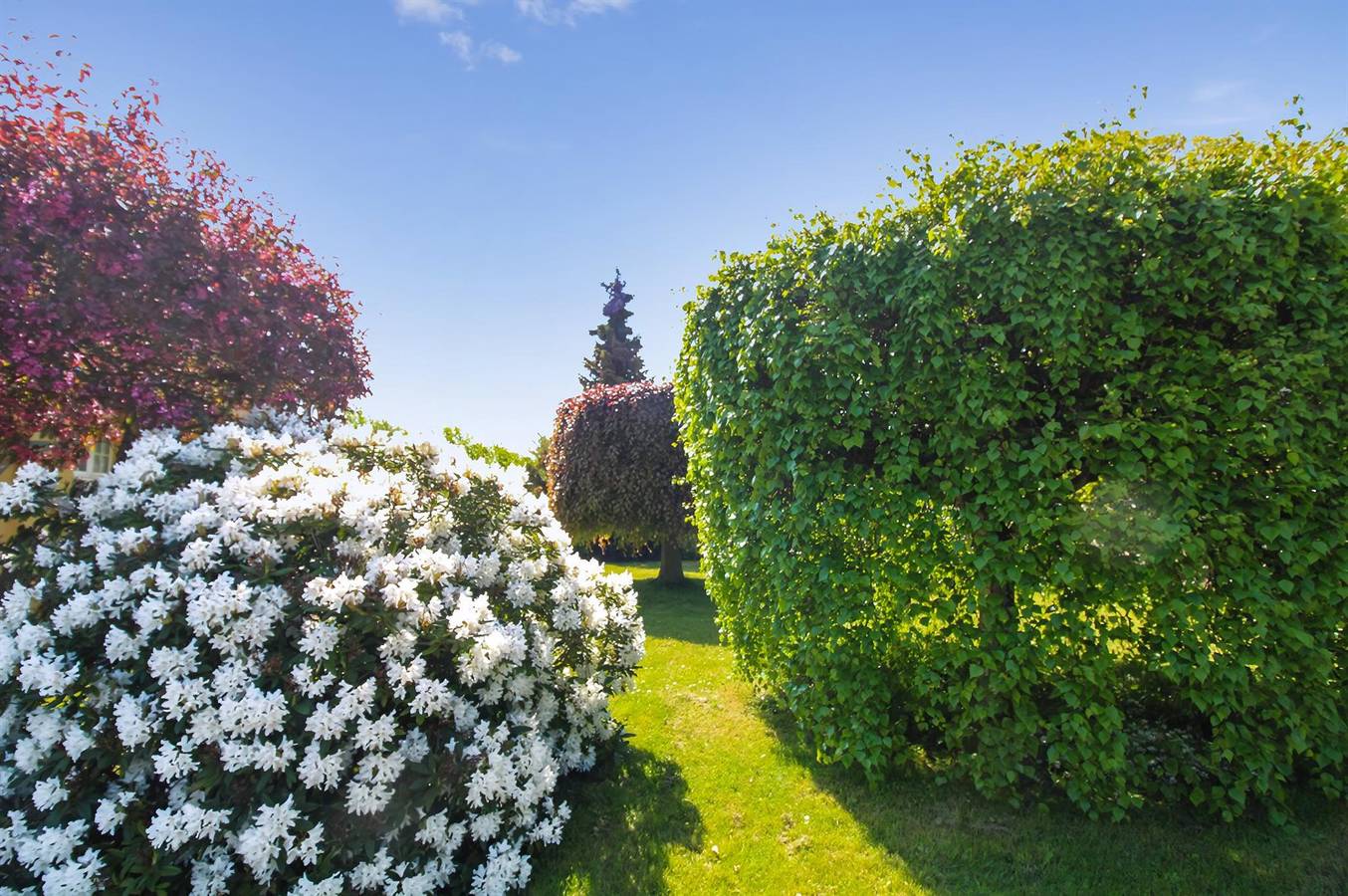 3 bedroom pet friendly home in Allinge in Sandkås, Allinge