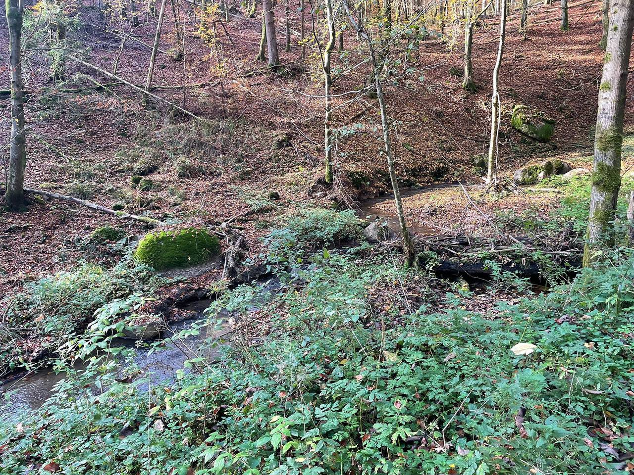 Fewo Hoellbach - Ferienwohnung in Wiesent, Ostbayern