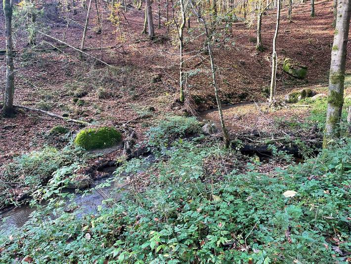 Ferienhaus für 3 Personen, mit Terrasse im Bayerischer Wald - 4