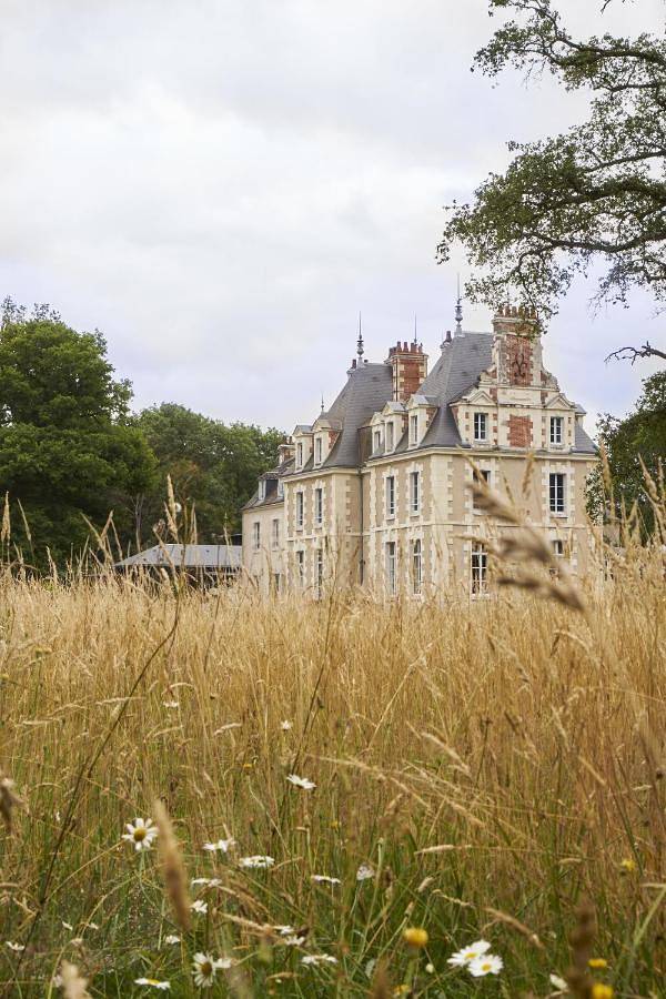 Hôtel pour 3 personnes, avec piscine ainsi que jacuzzi et jardin à Cheverny - 2